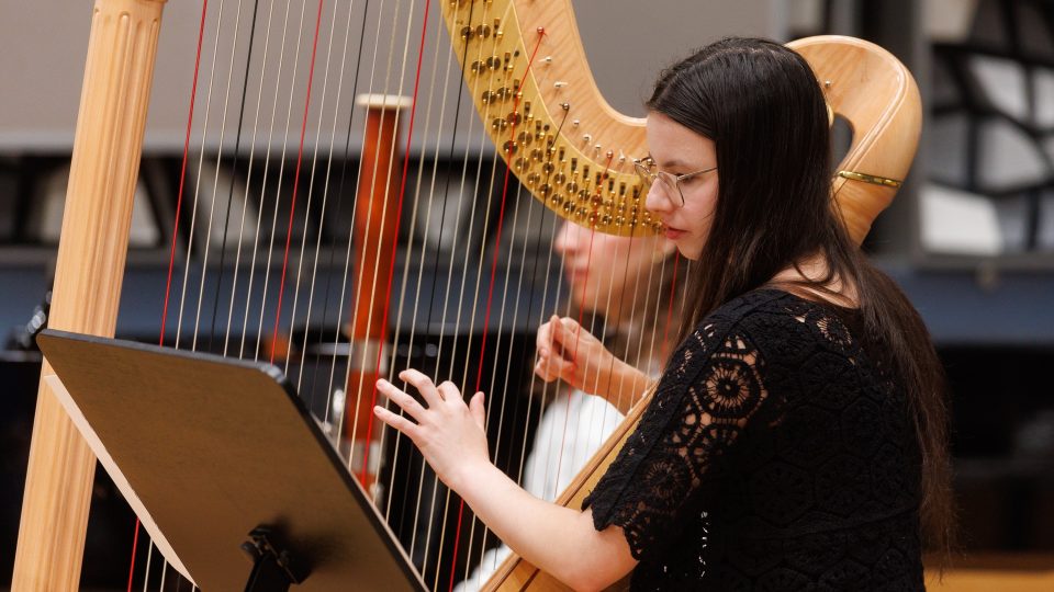 Vlnohraní: Hudba na talíři, Lada Karásková | foto: Jiří Šeda Vlnohraní: Hudba na talíři, Lada Karásková