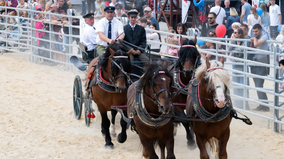 Vystavená zvířata na festivalu Země živitelka