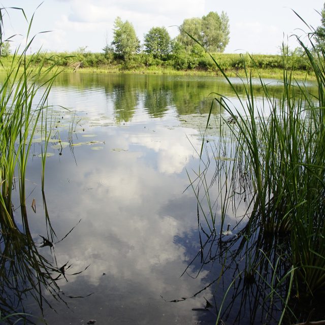Nechceme mít jen krajinný plán,  ale obnovit malý vodní režim republiky,  říká ekolog Jiří Malík  (ilustrační foto) | foto: Fotobanka Pixabay