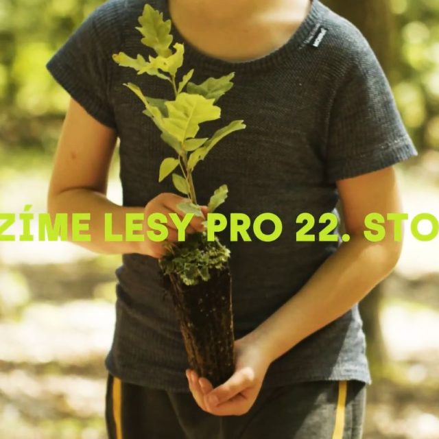 Sázíme lesy pro 22. století | foto: Lesy České republiky