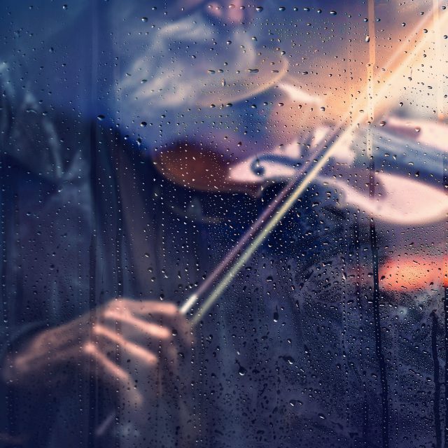 Houslista  (ilustrační foto) | foto: Shutterstock