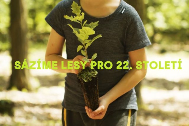 Sázíme lesy pro 22. století | foto: Lesy České republiky