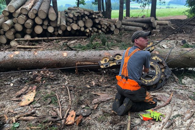 V Krkonoších se díky chladnějšímu počasí množí kůrovec pomaleji | foto: Kateřina Kohoutová,  Český rozhlas