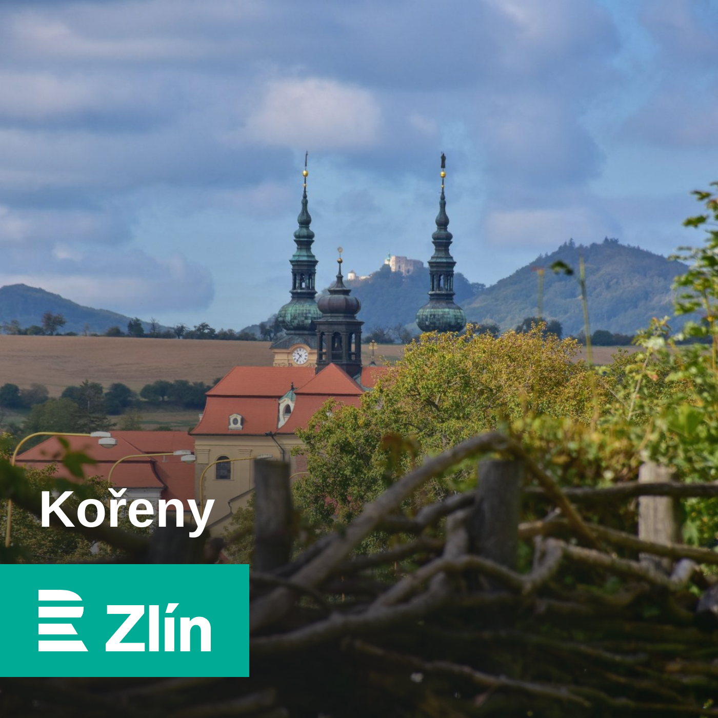 Kořeny