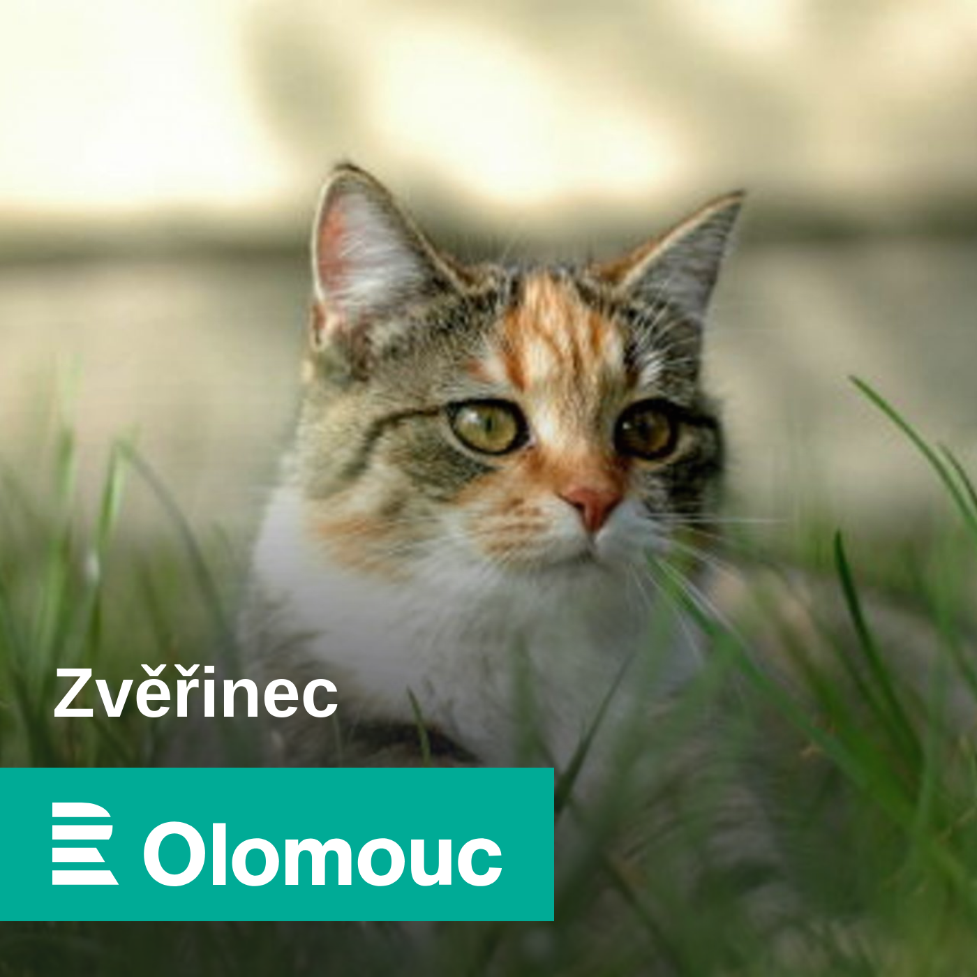 Zvěřinec